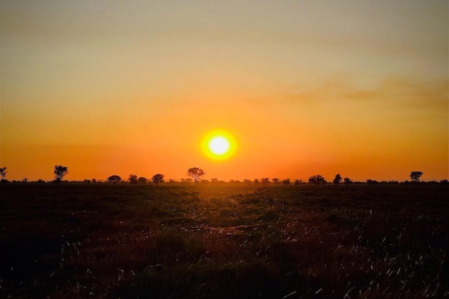5 Days Safari Arusha – Tarangire – Lake Manyara – Serengeti – Ngorongoro