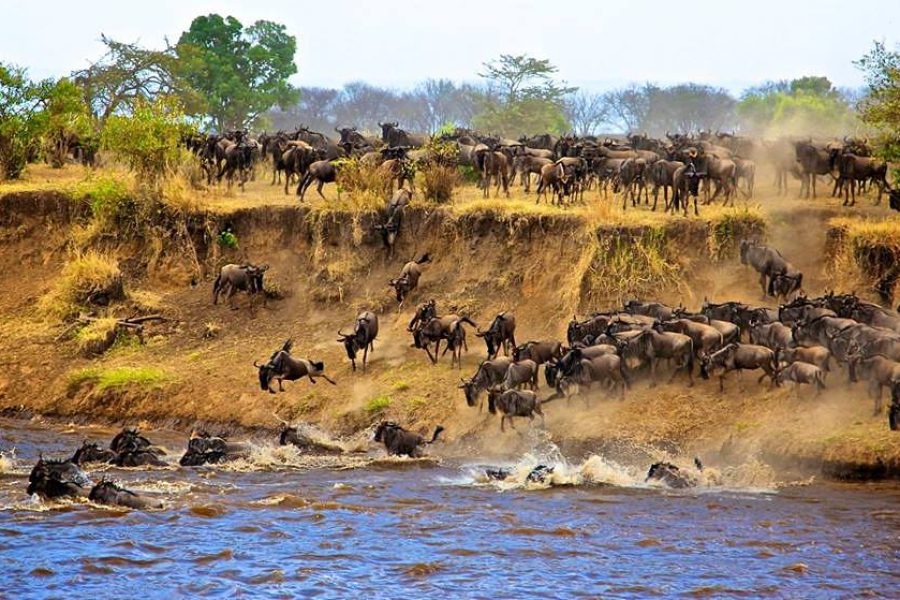 2 Nights / 3 Days Serengeti & Ngorongoro Camping Safari